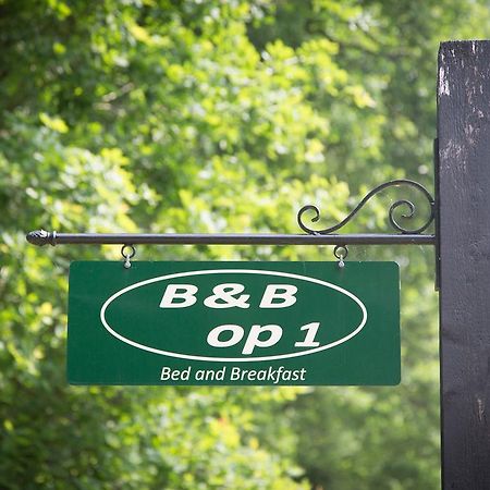 Bed & Breakfast Orvelte エクステリア 写真