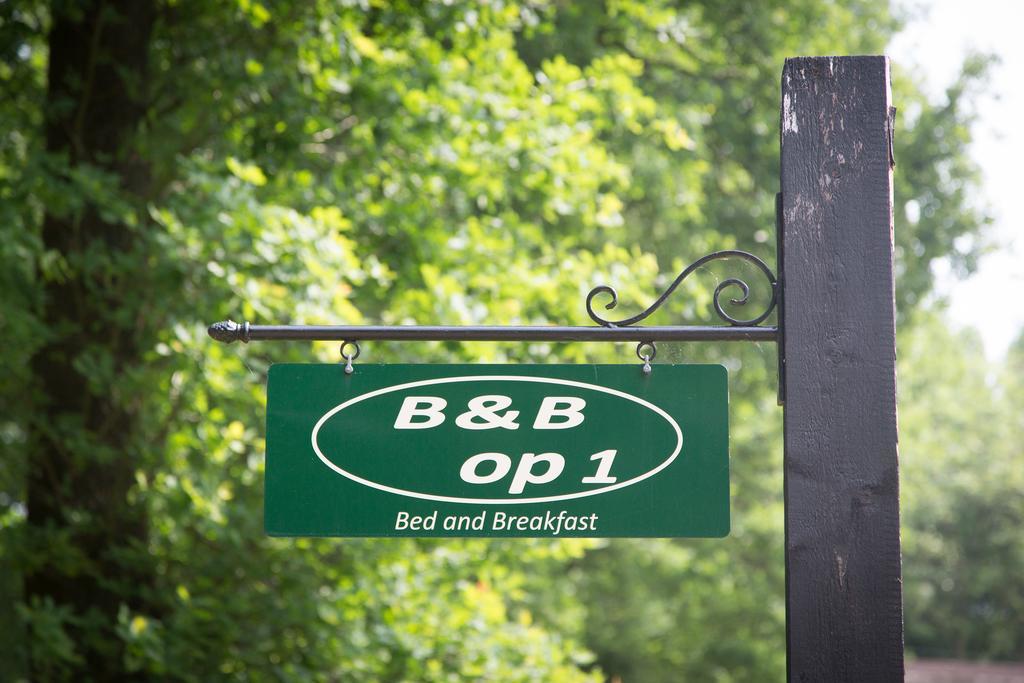 Bed & Breakfast Orvelte エクステリア 写真